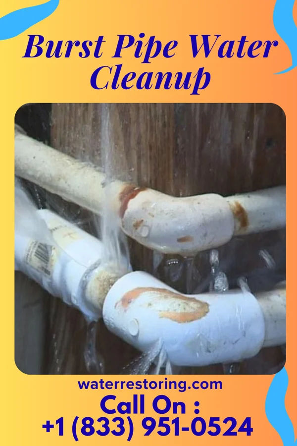 Burst Pipe Water Cleanup in Lawton, MI