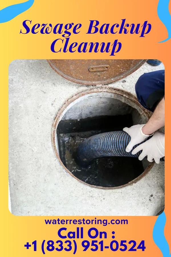 Sewage Backup Cleanup in Lawton, MI