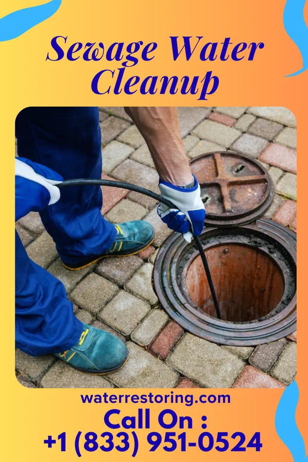 Sewage Water Cleanup in Lawton, MI